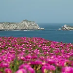 El Castillo De Locos