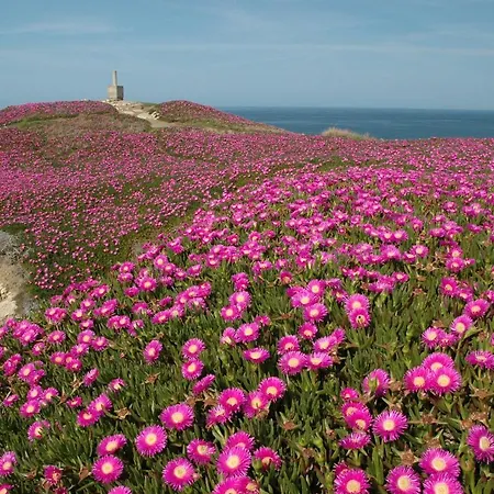 Hotell El Castillo De Locos *