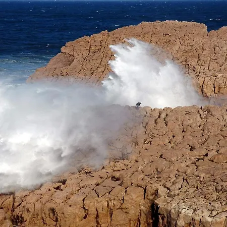 El Castillo De Locos