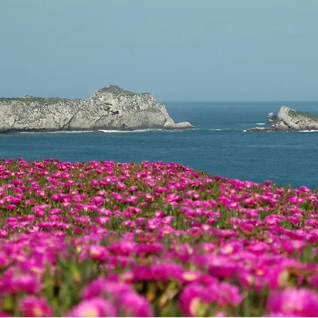 El Castillo De Locos