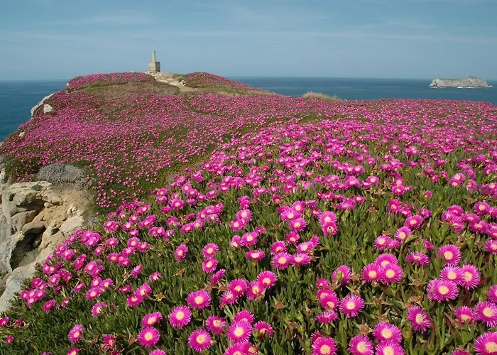 Hotel El Castillo De Locos *