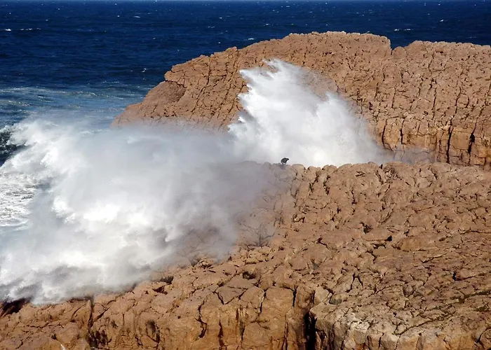 El Castillo De Locos