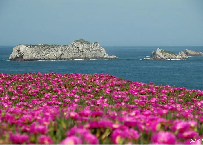 El Castillo De Locos